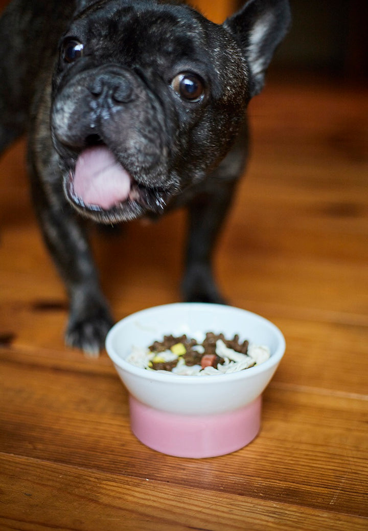 ペット食器 アペティ 犬用 ラウンドL – マルラボ