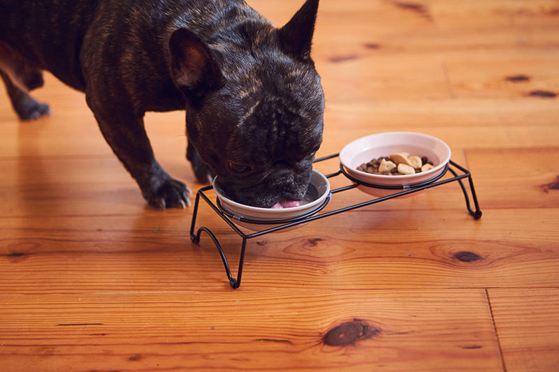 ペット食器 アペティ 犬用 ラウンドS ダブルセット グレー&ピンク