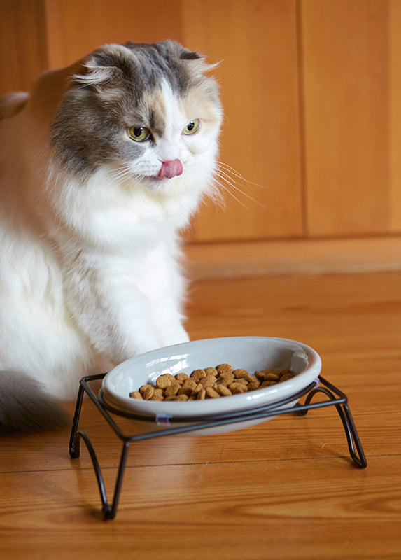 ペット食器 アペティ 猫用 オーバル – マルラボ