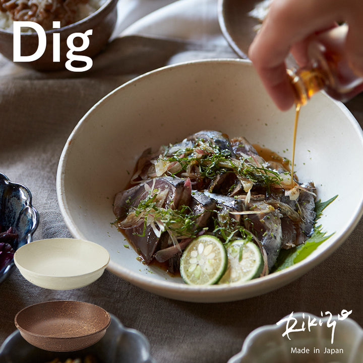 丸利玉樹利喜蔵商店 Rikizo リキゾー ディグ パスタプレート 美濃焼