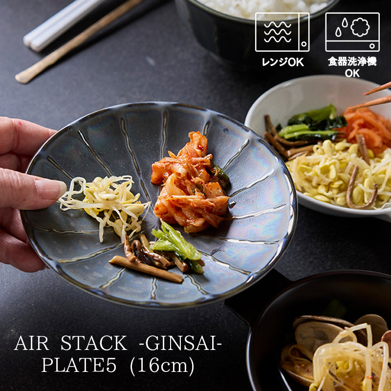 丸利玉樹利喜蔵商店 TAMAKI エアースタック ギンサイ 5寸皿 黒天目