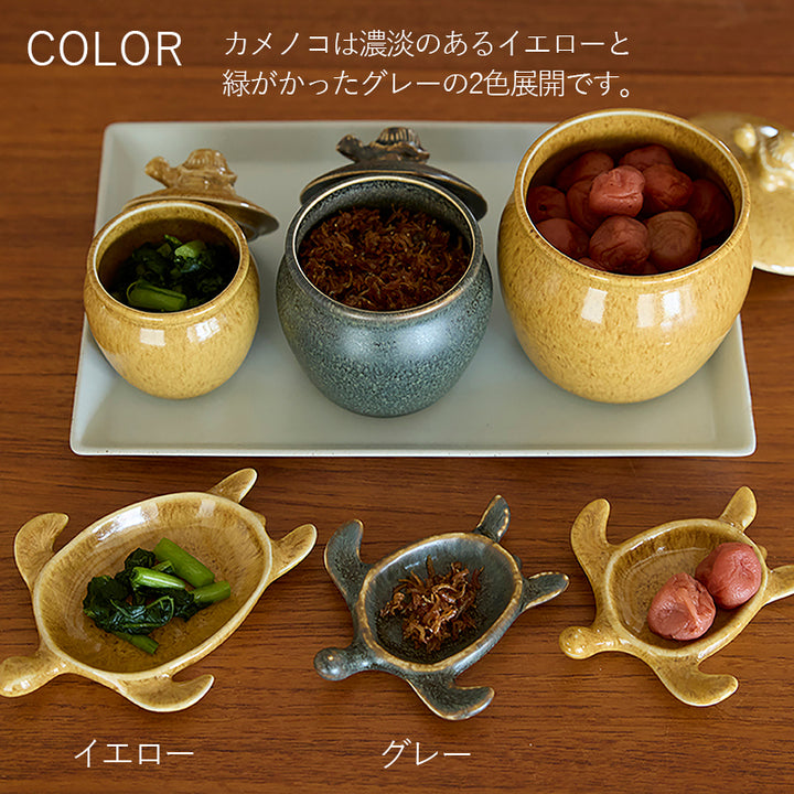 丸利玉樹利喜蔵商店 TAMAKI カメノコ カメ M – マルラボ