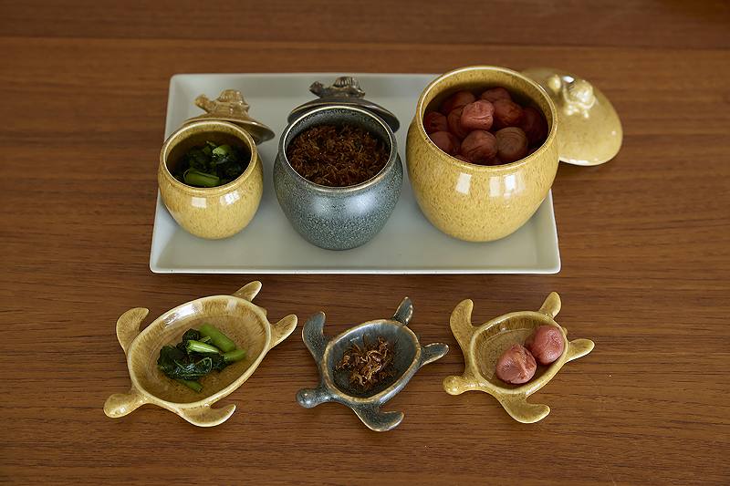 かめのこ　 KAMENOKO：カメノコ – マルラボ