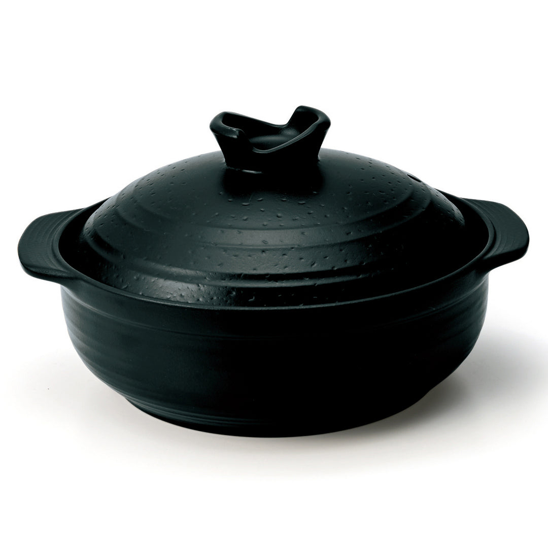 丸利玉樹利喜蔵商店 TAMAKI サーマテックプラス ミヤビ 直火土鍋 9号