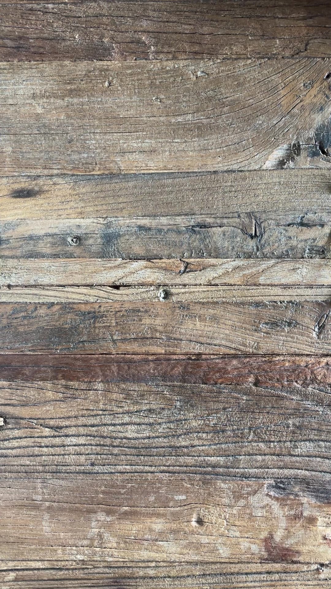 丸利玉樹利喜蔵商店 TAMAKI エッジライン プレート SS – マルラボ