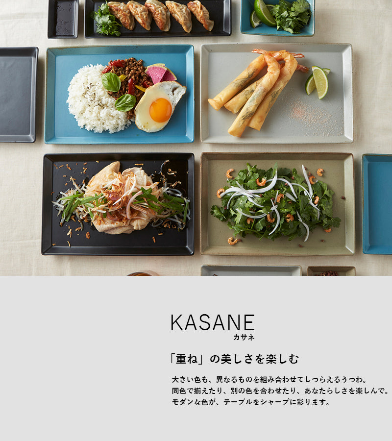 笠間焼 丸利玉樹利喜蔵商店 プレート(2枚)・カップ2つ(計4つ)計6つセット 丸利玉樹利喜蔵商店 Rikizo リキゾー オトモ マグカップ 笠間焼